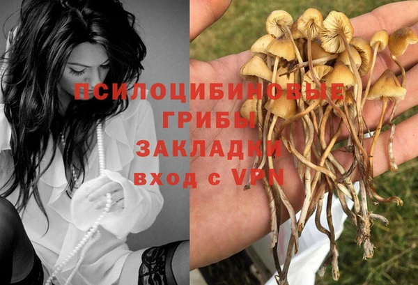 синтетический гашиш Анжеро-Судженск