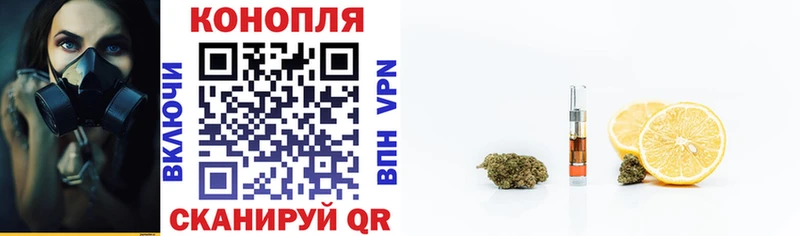 Конопля сатива  Дегтярск 